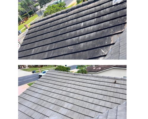 Mr. Pressure Washing Logo