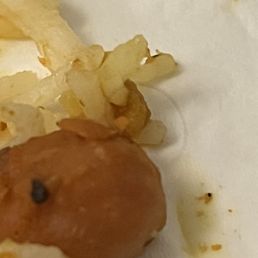 Chickpea Meal - we found hair Chickpea Meal - we found hair