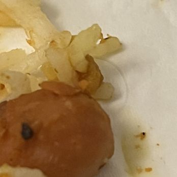 Vegan 15 - Chickpea Meal - we found hair - Vegan Near Me - Egg Harbor Township, New Jersey Vegan 15 - Chickpea Meal - we found hair - Vegan Near Me - Egg Harbor Township, New Jersey
