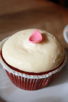 Lark Cake Shop by null Lark Cake Shop by null