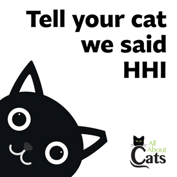 All About Cats - Animal Shelters Near Me - Hilton Head Island, South Carolina All About Cats - Animal Shelters Near Me - Hilton Head Island, South Carolina