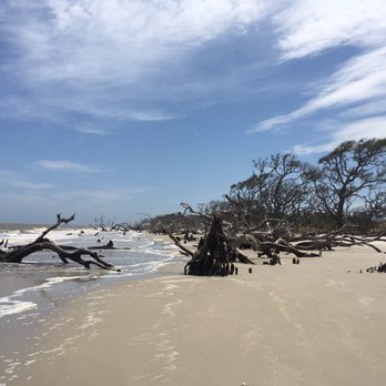 Driftwood Beach - Beaches Near Me - Jekyll Island, Georgia