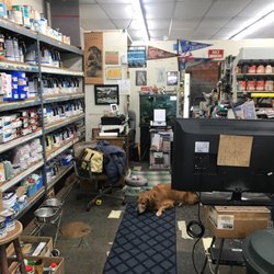 Rays Auto Paint Supply - Shilow is watching out