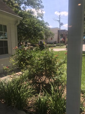 Essential Therapy & Wellness