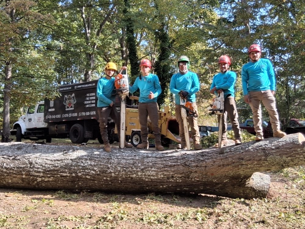 Cowboy Tree Care - tree service in Roswell, GA