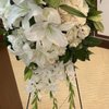 Amy's Flowers gift card