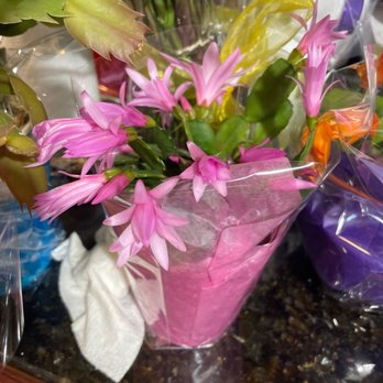 Rambling Rose Florist - Florists Near Me - Sayville, New York