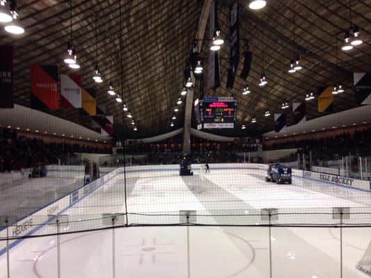 Ingalls Ice Rink by null