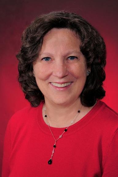 Nancy T Peterson Counseling Service - grief counselor in Champaign, IL