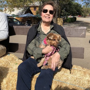 High Hill Ranch - Dogs had a good time - Donuts Near Me - Placerville, California High Hill Ranch - Dogs had a good time - Donuts Near Me - Placerville, California