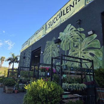 Terra Bella Nursery - Nurseries & Gardening Near Me - San Diego, California Terra Bella Nursery - Nurseries & Gardening Near Me - San Diego, California