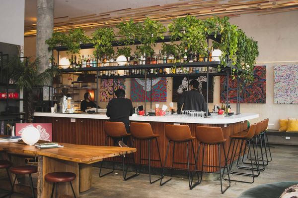 The Lobby Bar & Garden by null