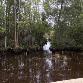 Standing Room Only - a stream running through a wooded area - Lounges Near Me - Niceville, Florida Standing Room Only - a stream running through a wooded area - Lounges Near Me - Niceville, Florida