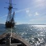 Photo of White Whale Tow Boat