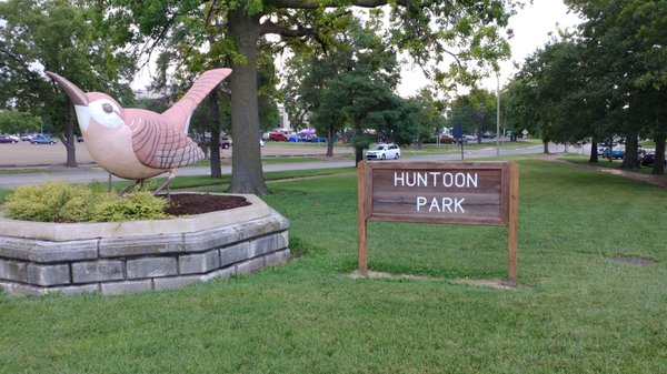 Huntoon Park Wren