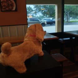Woody's Bar-B-Q - Watching the rainfalling outside.