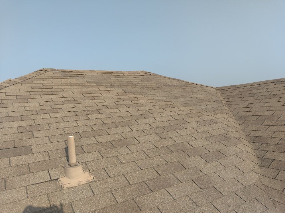 Slide of The Roof Goose