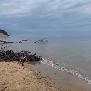 Calvert Cliffs State Park - Parks Near Me