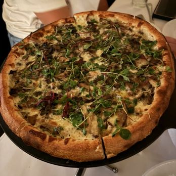 Mi Piace - Wild Mushroom - Italian Near Me - Pasadena, California Mi Piace - Wild Mushroom - Italian Near Me - Pasadena, California