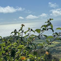 Sleeping Giant Trail - View from picnic area.