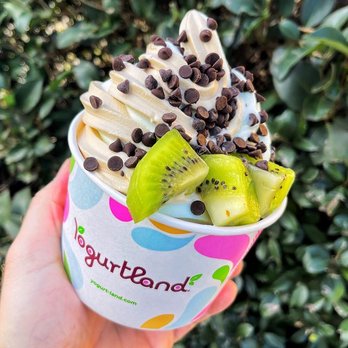 Yogurtland - Custom Frozen Yogurt Creation - Fruit and Chocolate Chips - Ice Cream & Frozen Yogurt Near Me - Cypress, Texas Yogurtland - Custom Frozen Yogurt Creation - Fruit and Chocolate Chips - Ice Cream & Frozen Yogurt Near Me - Cypress, Texas