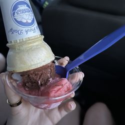Vegan chocolate coconut milk ice cream and strawberry sorbet