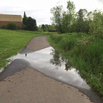 Greenway Park - This is just 1 day of rain, with more rain it is worse. - Parks Near Me - Beaverton, Oregon