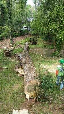 Tree removal - At Deep Roots Tree Service, LLC, we believe in a personalized approach to tree care. We will work with you to develop a plan that meets your unique needs and budget. We will then execute the plan with precision and care, ensuring that all your tree care needs are met, and your yard is left looking better than when we arrived. Tree removal - At Deep Roots Tree Service, LLC, we believe in a personalized approach to tree care. We will work with you to develop a plan that meets your unique needs and budget. We will then execute the plan with precision and care, ensuring that all your tree care needs are met, and your yard is left looking better than when we arrived.
