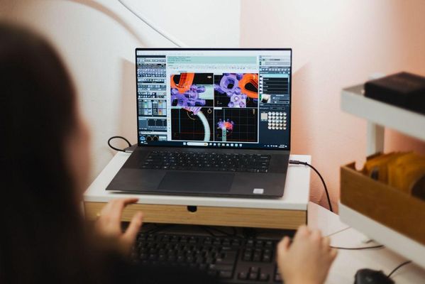 Bario Neal Jewelry by null