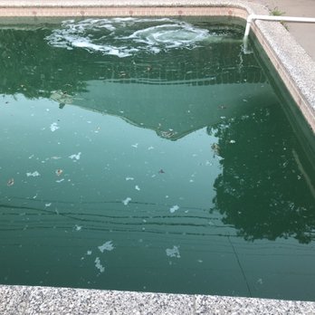 Jeremiah Pools - Before - Pool Cleaners Near Me