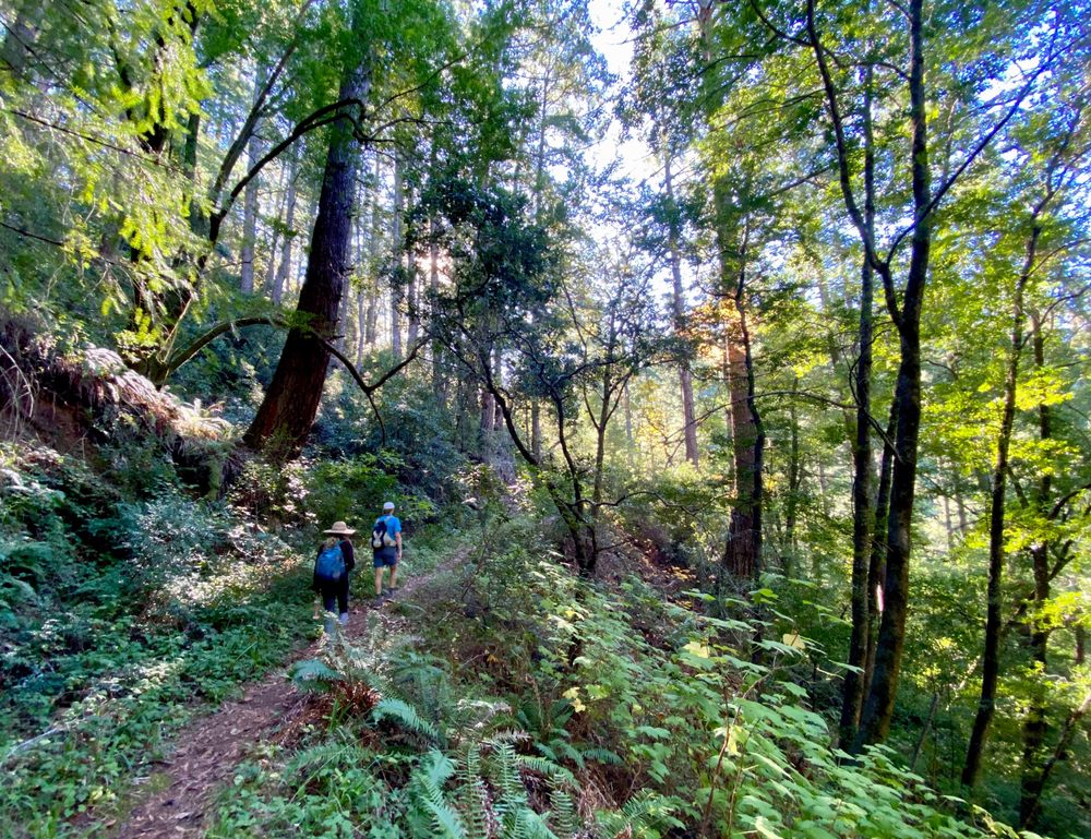 Gary Giacomini Open Space Preserve Logo