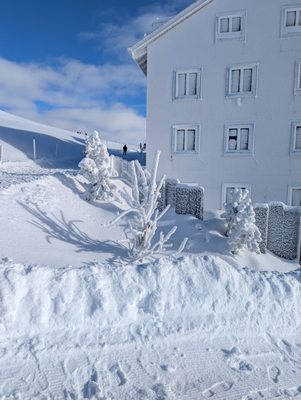 Rigi by null
