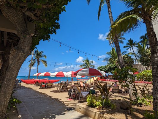 Outrigger Canoe Club by null