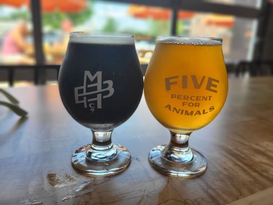 Metazoa Brewing Company by null