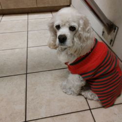Centennial Hills Dental Health Centre - Princess, waiting to see her favorite, Dr. Curtis!