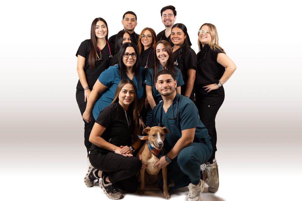 PetSmart Veterinary Services Image