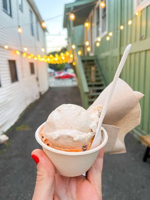 Alleyway Ice Cream by null