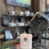 Lorien Powers Studio Jewelry gift card