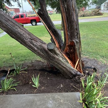 M & C Trees and More - Tree Services Near Me - Yukon, Oklahoma M & C Trees and More - Tree Services Near Me - Yukon, Oklahoma