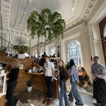 Tommy - Coffee & Tea Near Me - Montreal, Quebec