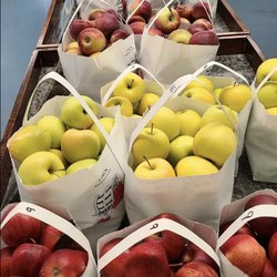 Iowa Orchard