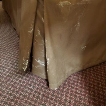 OYO Hotel Eloy AZ I-10 - Filthy bedding - Hotels Near Me - Phoenix, Arizona OYO Hotel Eloy AZ I-10 - Filthy bedding - Hotels Near Me - Phoenix, Arizona