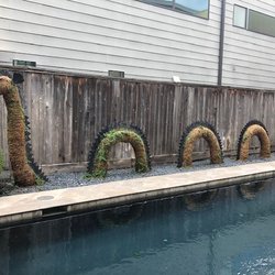 Topiary and Garden - Lock ness Monster Topiary. Houston, TX 2022