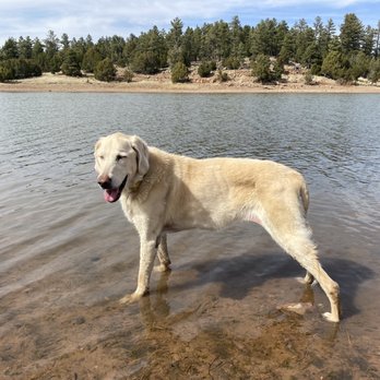 Kindred Spirits Pet Services - Veterinarians Near Me - Tucson, Arizona