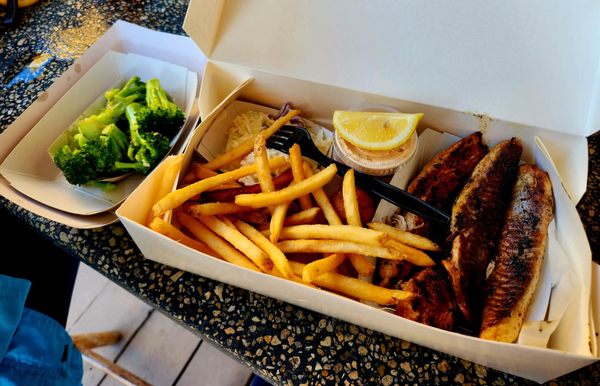 Star Fish Company by null