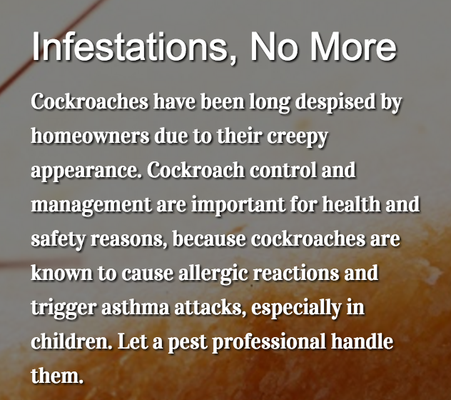 PLATEAU PEST CONTROL - Updated November 2024 - 24 Photos - 1037 S Main