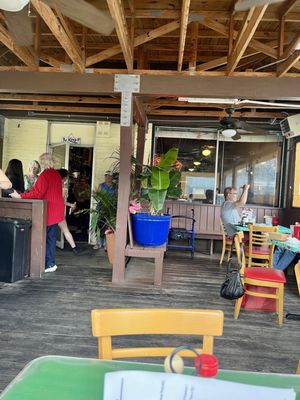 Dots Back Inn by null