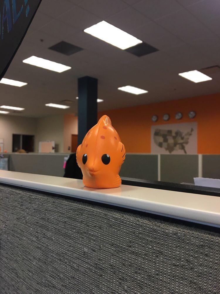 GOLDFISH MEDICAL STAFFING Updated June 2024 Request Information