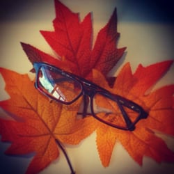 Eye Spy Optometry - These beautiful handmade frames from Lafont are perfect for fall.