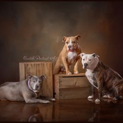 Greenville Home Girls - Our showing assistants